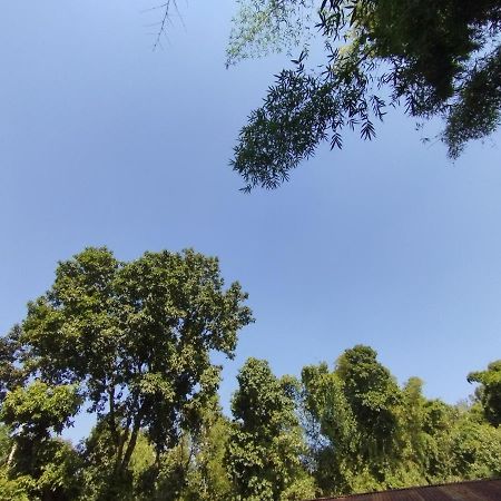 פוקהרה Hotel Tourist Residency מראה חיצוני תמונה